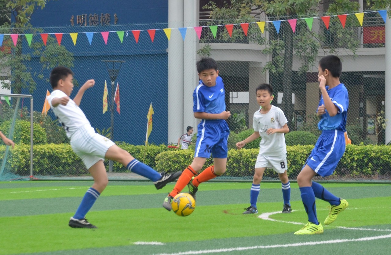 不仅仅体现 不仅仅体现