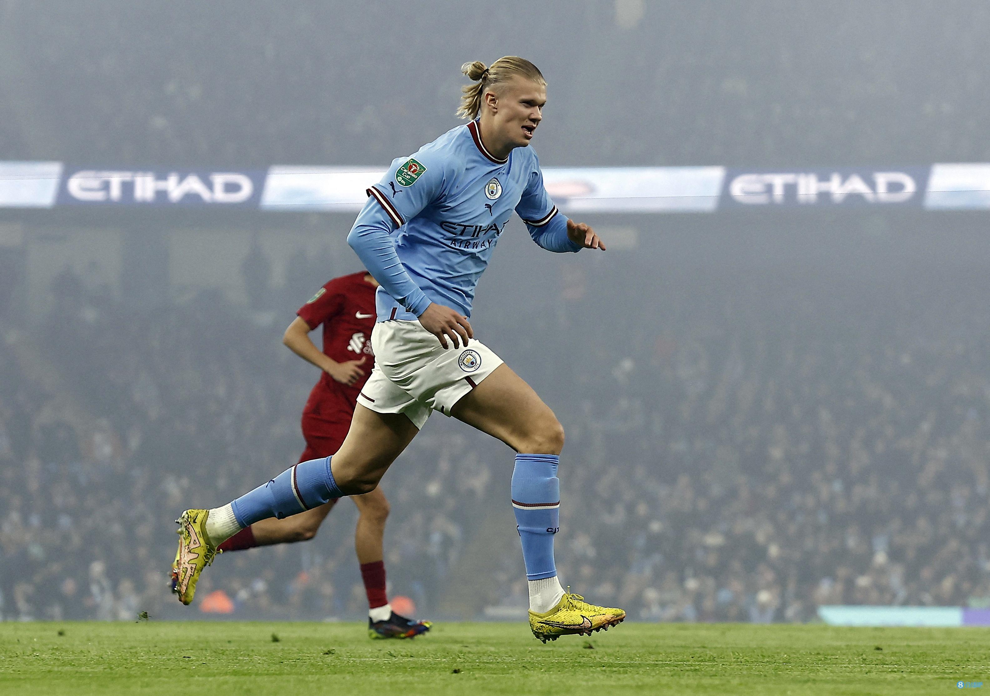 化决策树 化决策树